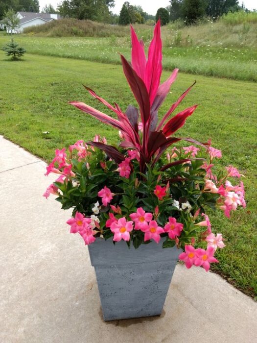 Charming 24+ planter gardening ideas and pot designs